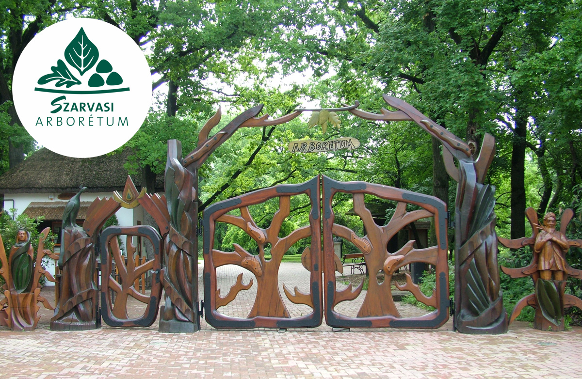 Szarvasi Arborétum Szarvasi Arborétum
