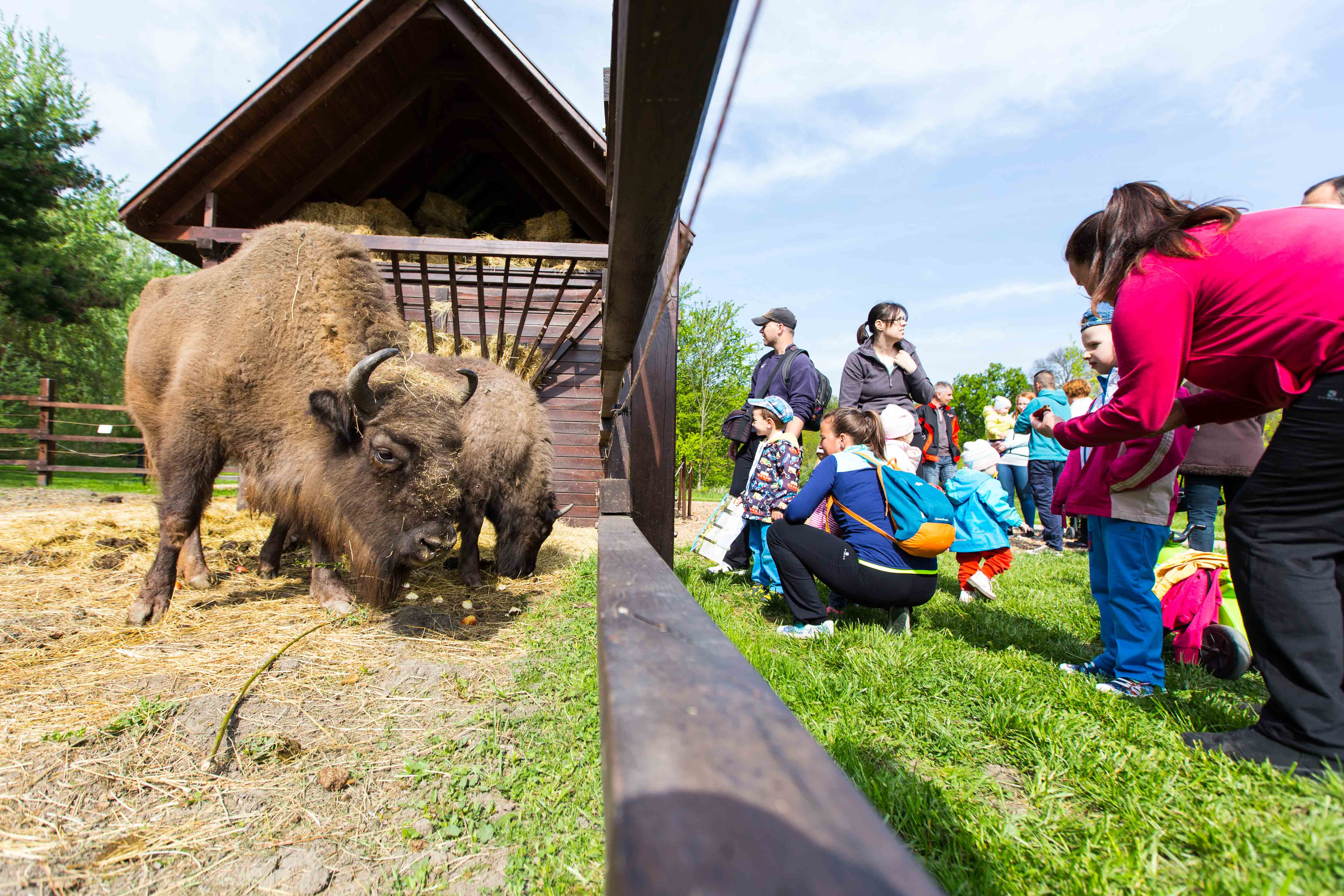 Körösvölgyi Állatpark Körösvölgyi Állatpark
